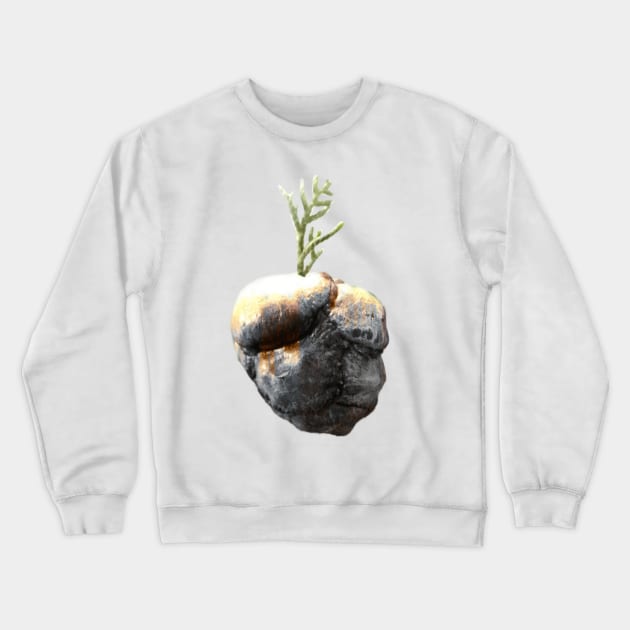 Earthling Crewneck Sweatshirt by aeolia